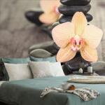 Dovido Fotótapéta sárga orchidea Zen kövek - 392x264