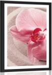 Dovido Poszter paszportuval tengeri homok és rózsaszín orchidea - 60x90 no frame