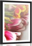 Dovido Poszter paszportuval színes tulipán csokor - 40x60 no frame