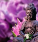 Dovido Öntapadó fotótapéta békés Buddha - 245x270
