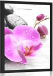 Dovido Poszter varázslatos követ és orchidea összjátéka - 30x45 no frame