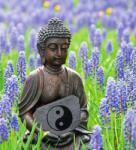 Dovido Öntapadó fotótapéta jin és jang szimbólum Buddha kezében - 245x270