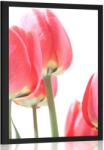 Dovido Poszter piros tulipán - 60x90 silver - dovido - 29 365 Ft