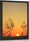 Dovido Poszter fű szállak naplementénél - 40x60 no frame