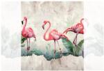 Dovido Tapéta flamingók vintage stílusban - 245x270