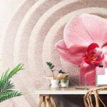 Dovido Fotótapéta tengeri homok és orchidea - 539x363