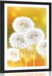 Dovido Poszter paszportuval pitypang - 30x45 no frame