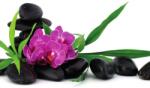 Dovido Öntapadó fotótapéta lila orchidea Zen csedéletben - 294x270