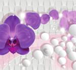 Dovido Tapéta orchidea abzstrakt háttéren - 294x270