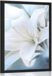 Dovido Poszterfehér liliom absztrakt háttéren - 40x60 black