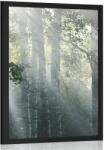 Dovido Poszter napsugarak a ködös erdőben - 30x45 silver