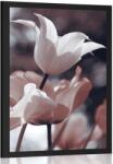 Dovido Poszter tavaszi tulipánok a parkban - 30x45 black