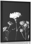 Dovido Poszter elegáns fekete fehér virágok - 30x45 black