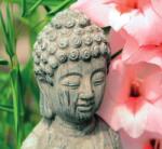 Dovido Fotótapéta Buddha szobor a Zen kertben - 294x270