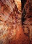 Dovido Öntapadó fotótapéta ösvény a Grand Canyonon keresztül - 196x270