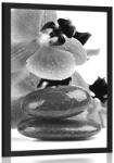 Dovido Poszter SPA kövek és orchidea fekete fehérben - 20x30 no frame