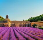 Dovido Öntapadó fotótapéta Provence levendulamezőkkel - 294x270