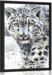 Dovido Poszter rajzolt leopárd - 30x45 silver