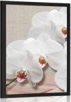 Dovido Poszter fehér orchidea vásznon - 30x45 no frame