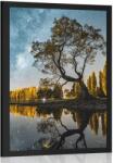 Dovido Poszter fa csillagos égbolt alatt - 40x60 black