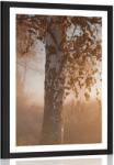 Dovido Poszter paszpartuval, ködös őszi erdő. - 20x30 silver