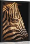 Dovido Poszter egy zebra portréja - 40x60 no frame