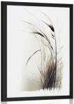 Dovido Poszter minimalista száraz fű. - 60x90 black