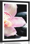 Dovido Poszter paszportuval exotikus orchidea - 40x60 silver