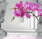 Dovido Tapéta futurisztikus orchidea - 294x270
