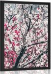 Dovido Poszter barackfa - 40x60 white
