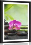 Dovido Poszter paszportuval Feng Shui csendélet - 40x60 black