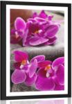 Dovido Poszter paszportuval csodás orchidea Zen kövekkel - 40x60 no frame