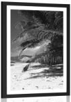 Dovido Poszter paszportuval az Anse Source strand szépsége fekete-fehérben - 20x30 black