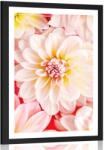 Dovido Poszter paszportuval pasztell dália virágok - 40x60 black