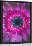 Dovido Poszter lila gerbera - 20x30 no frame