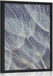 Dovido Poszter reggeli harmat csepp a pitypangon - 40x60 no frame