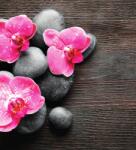 Dovido Öntapadó fotótapéta kompozíció orchidea virágokkal - 245x270