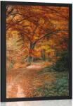 Dovido Poszter gyönyörű erdő az őszi szezonban - 60x90 white