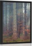 Dovido Poszter az erdő titka - 40x60 white