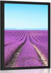 Dovido Poszter végtelen levandula mező - 60x90 black