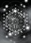Dovido Öntapadó tapéta varázslatos fekete fehér Mandala - 196x270
