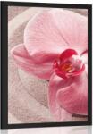 Dovido Poszter tengeri homok és rózsaszín orchidea - 20x30 white