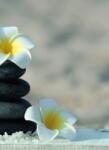 Dovido Fotótapéta harmonikus kövek és plumeria virág - 196x270