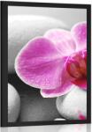 Dovido Poszter orchidea virág fehér köveken - 40x60 white