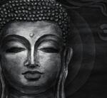 Dovido Tapéta Buddha arca fekete fehérben - 294x270