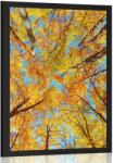 Dovido Poszter őszi fa koronák - 30x45 no frame