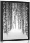 Dovido Poszter fekete-fehér hóval borított erdő - 60x90 silver