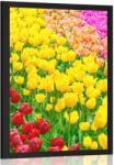 Dovido Poszter kert tele tulipánnal - 20x30 black