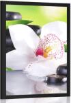 Dovido Poszter japán orchidea - 30x45 white