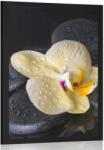 Dovido Poszter Zen kövek sárga orchideával - 60x90 black